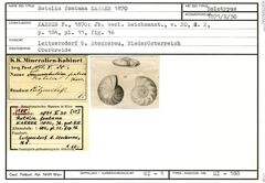 Karteikarte zum Holotyp von Rotalia fontana Karrer, 1870